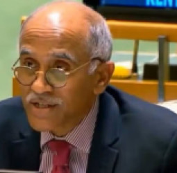 د هند دایمي استازی: د پاکستان هوايي بریدونه پر افغانستان ښکاره د نړیوالو قوانینو سرغړونه ده