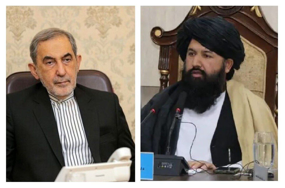 د طالبانو د تحصیلات عالي وزیر او د آزاد اسلامي پوهنتون د مؤسس هیئت تر منځ ملاقات؛ په کابل کې د طبي، فني او مصنوعي ذهانت برخو د پراختیا غوښتنه