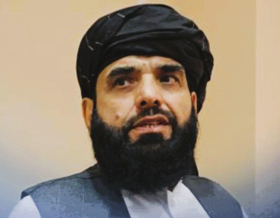 د سهیل شاهین او د اروپا د سولې انستیتوت د سلاکار لیدنه