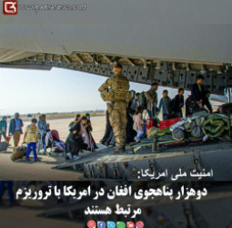 امنیت ملی امریکا: دوهزار پناهجوی افغان در امریکا با تروریزم مرتبط هستند