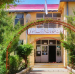 اندونیزیا له افغانستان سره د پراخو فرهنګي او سیاسي اړیکو غوښتنه وکړه