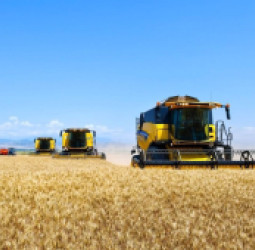 افغانستان ته د قزاقستان د غلو په صادراتو کې د پام وړ زیاتوالی