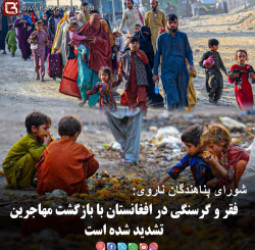 شورای پناهندگان ناروی:  فقر و گرسنگی در افغانستان با بازگشت مهاجرین تشدید شده است