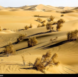 ایران د وچکالۍ د هواري لپاره د مصنوعي ورښت پروژه پیل کړه
