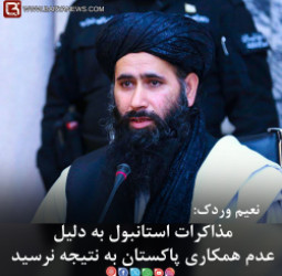 نعیم وردک: مذاکرات استانبول به دلیل عدم همکاری پاکستان به نتیجه نرسید