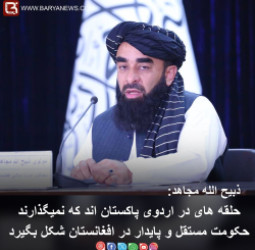 حلقه های در اردوی پاکستان اند که نمی گذارند حکومت مستقل و پایدار در افغانستان شکل بگیرد