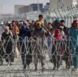 په فیصلاباد او اسلاماباد کې د افغان کډوالو پراخې نیونې؛ پاکستان وايي ښارونه له افغانانو خالي شوي