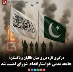 درگیری تازه مرزی میان طالبان و پاکستان؛   جامعه مدنی خواستاراقدام  شورای امنیت شد