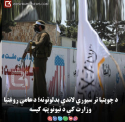 د چوپتیا تر سیوري لاندې بدلونونه؛ د عامې روغتیا وزارت کې د نیونو پټه کیسه