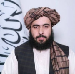 د کابل په ګډون د افغانستان په ۹ ولایتونو کې د پاکستاني بریدونو له امله ۷۶۱ ملکي وګړي وژل شوي