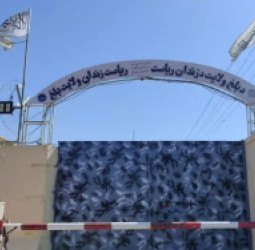 د هبت‌الله په فرمان؛ بلخ او هرات کې سلګونه بندیان خوشې شول