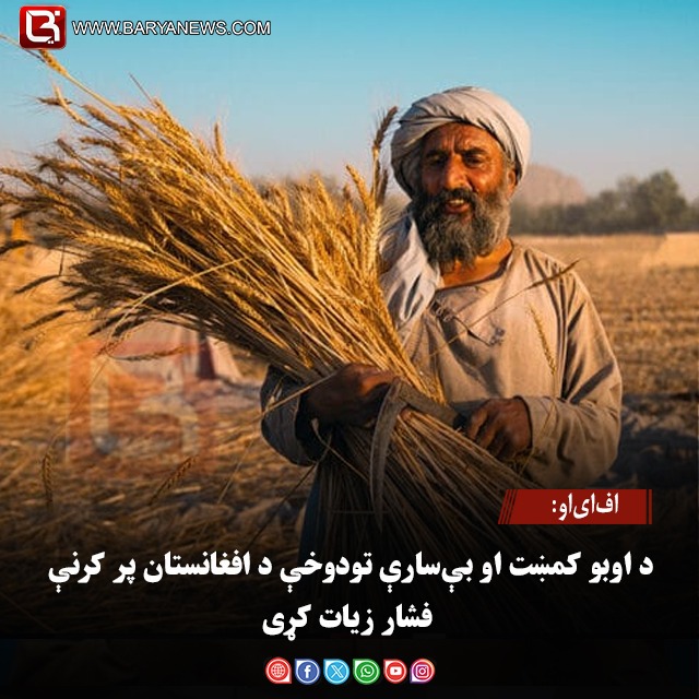 اف‌ای‌او: د اوبو کمښت او بې‌سارې تودوخې د افغانستان پر کرنې فشار زیات کړی