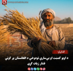 اف‌ای‌او: د اوبو کمښت او بې‌سارې تودوخې د افغانستان پر کرنې فشار زیات کړی