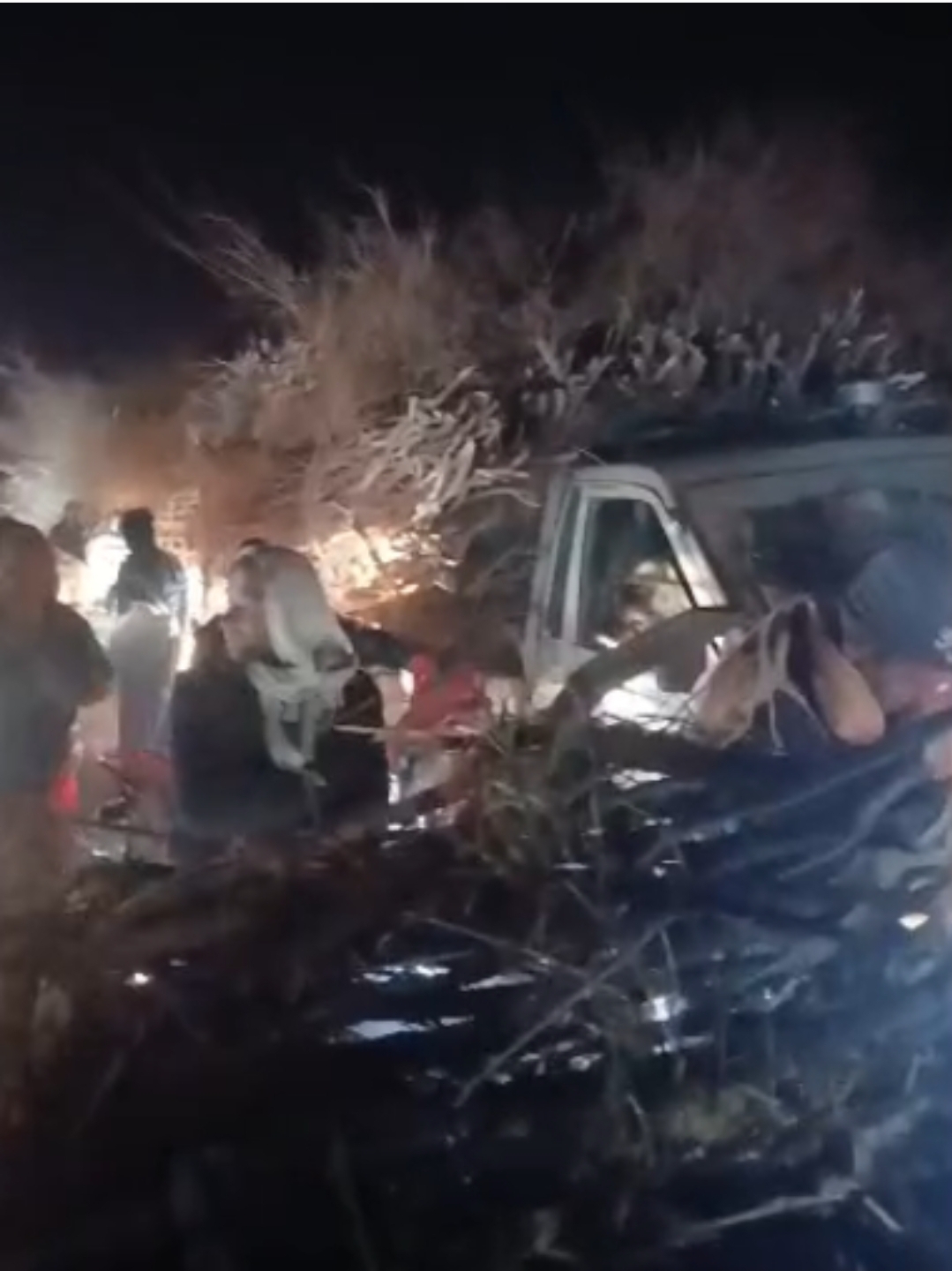 د تخار په کهنه خانې مشهور ځنګل وهل شوی او پر خلکو وېشل شوی