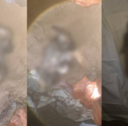 په سپین‌بولدک کې د درې ښځو مړي موندل شوي؛ د وژنې انګېزه لا هم ناڅرګنده ده