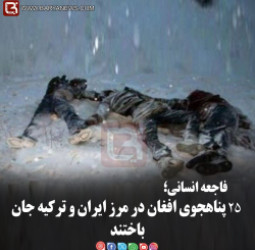 فاجعه انسانی؛  ۲۵ پناهجوی افغان در مرز ایران و ترکیه جان باختند