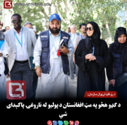د روغتیا نړیوال سازمان: د ګډو هڅو په مټ افغانستان د پولیو له ناروغۍ پاکېدای شي