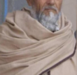 د طالبانو تر واکمنۍ لاندې هدفي وژنې زیاتې شوې؛ په اوبه کې یو سیمه‌ییز مخور ووژل شو