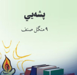 پشه‌یي ژبه : د علومو اکاډمۍ د پشه‌یي ژبې نوې الفبا تصویب کړه