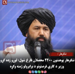 ننګرهار : ننګرهار پوهنتون ۲۲۰۰ محصلان فارغ شول؛ لوړو زده کړو وزیر د کاري فرصتونو د برابرولو ژمنه وکړه
