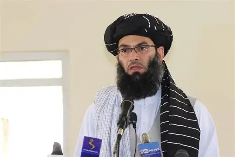 خالد حنفي: د افغانستان د چارو پرېکړه باید د افغانانو په لاس کې وي