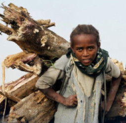 د ماشومانو د کار پر ضد نړیواله ورځ؛ لا هم ۱۳۸ میلیونه ماشومان د سختو کارونو قربانیان دي