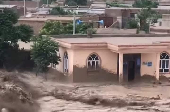 بغلان کې وروستیو سېلابونو زرګونه جریبه کرنیزه ځمکه ویجاړه کړې