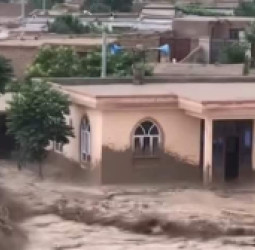 بغلان کې وروستیو سېلابونو زرګونه جریبه کرنیزه ځمکه ویجاړه کړې