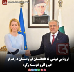 اروپایي ټولنې له افغانستان او پاکستان د زغم او خبرو اترو غوښتنه وکړه