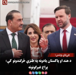 جي‌ډي وېنس: د هند او پاکستان یادونه په طنزي څرګندونو کې؛ پراخ غبرګونونه