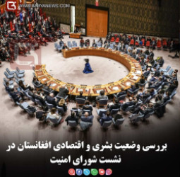 بررسی وضعیت بشری و اقتصادی افغانستان در نشست شورای امنیت