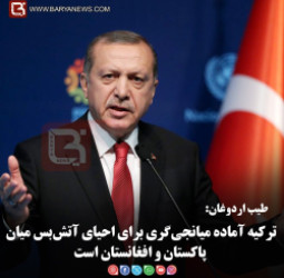 ترکیه آماده میانجی‌گری برای احیای آتش‌بس میان پاکستان و افغانستان است