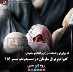 د نکاح او کورنۍ حقوقو په اړه د اصولنامې تر خپرېدو وروسته بحثونه؛ مجاهد د انتقادونو  ځواب ورکړ