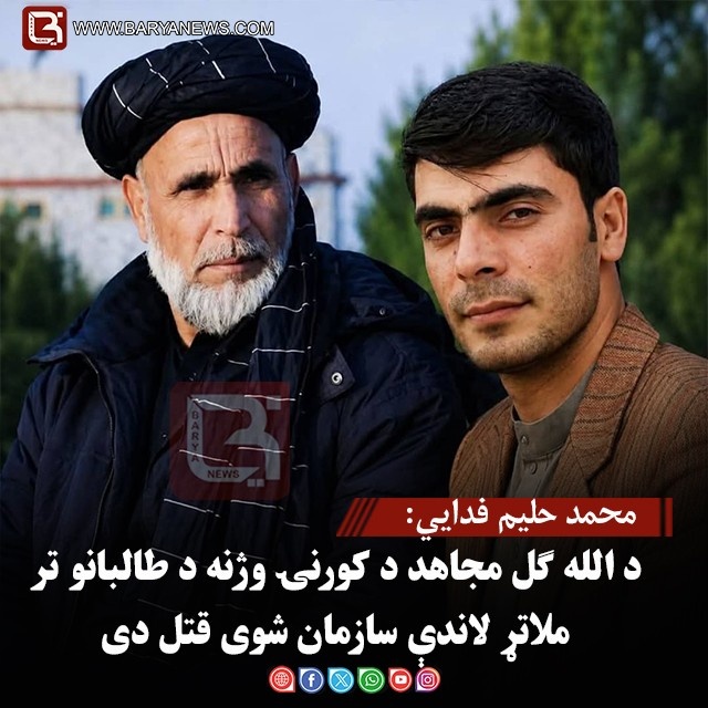 محمد حلیم فدایي: د الله ګل مجاهد د کورنۍ وژنه د طالبانو تر ملاتړ لاندې سازمان شوی قتل دی