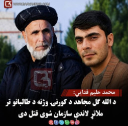 محمد حلیم فدایي: د الله ګل مجاهد د کورنۍ وژنه د طالبانو تر ملاتړ لاندې سازمان شوی قتل دی