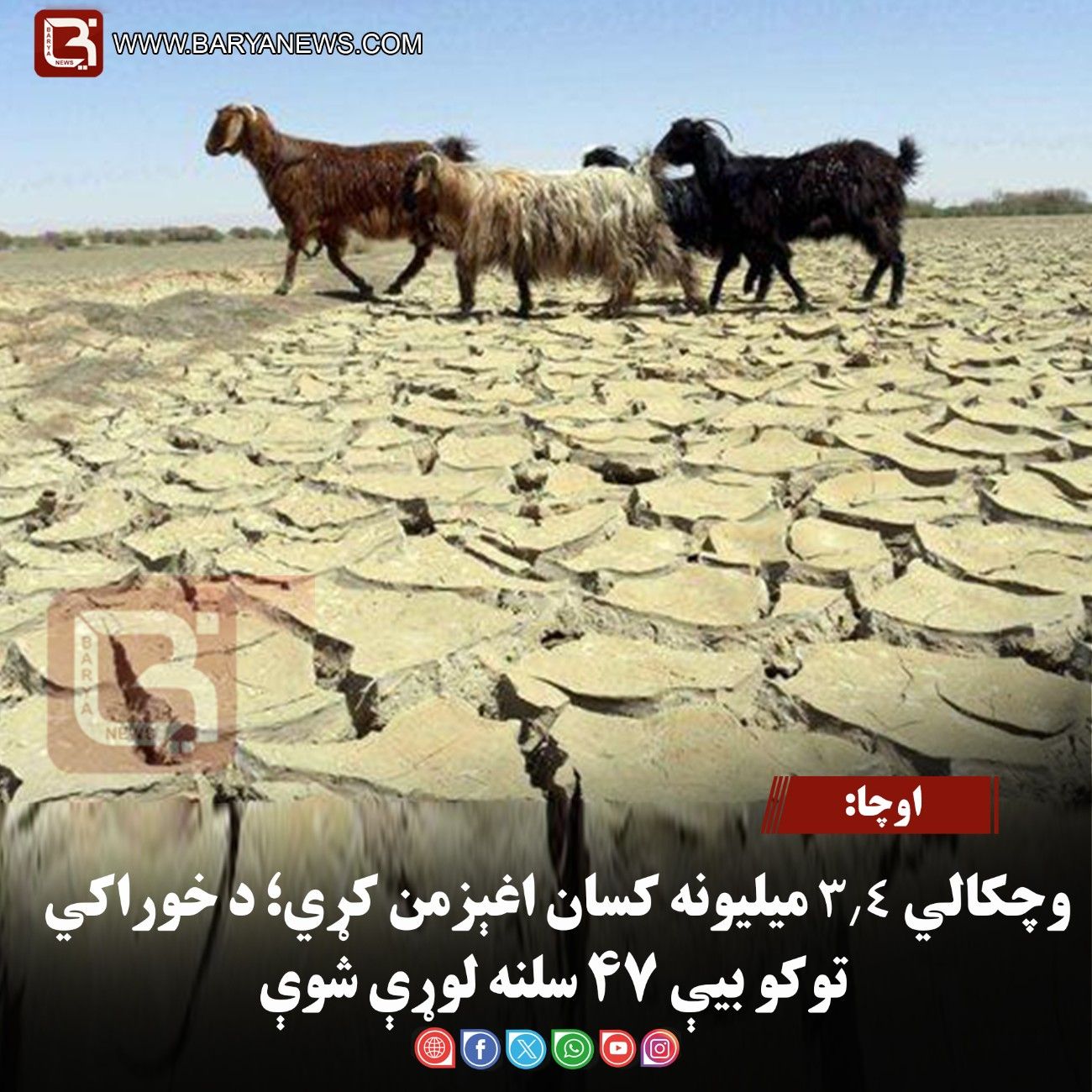اوچا: وچکالي ۳.۴ میلیونه کسان اغېزمن کړي؛ د خوراکي توکو بیې ۴۷ سلنه لوړې شوې