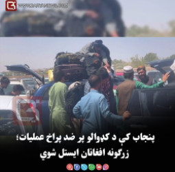 پنجاب کې د کډوالو پر ضد پراخ عملیات؛ زرګونه افغانان ایستل شوي