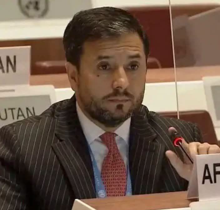 نصیر احمد اندېشه : د بشري حقونو شورا د ریچارډ بېنېټ ماموریت د یو بل کال لپاره وغځاوه