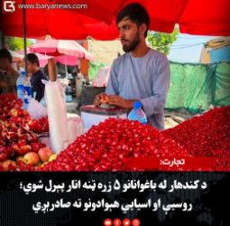 تجارت: د کندهار له باغوانانو ۵ زره ټنه انار پېرل شوي؛ روسیې او اسیايي هېوادونو ته صادرېږي