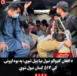 پاکستان : د افغان کډوالو نیول بیا پیل شوي؛ په یوه اوونۍ کې ۵۱۷ کسان نیول شوي