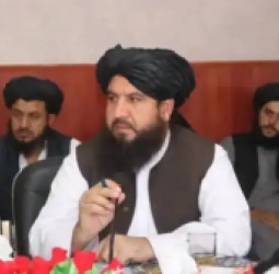 د طالبانو د پکتیا والي: «افغانان مو شریعت ته برابر کړي او اخرت مو ورته سم کړی