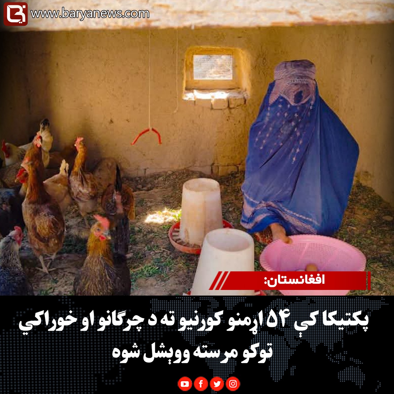 افغانستان: پکتیکا کې ۵۴ اړمنو کورنیو ته د چرګانو او خوراکي توکو مرسته ووېشل شوه