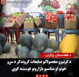 د افغانستان بزګران : د کرنیزو محصولاتو ضایعات کروندګر د سړو خونو او مناسبو بازارونو غوښتنه کوي