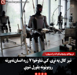 نړیوالو روبوټیکو فدراسیون : تېر کال په نړۍ کې شاوخوا ۷ زره انسان‌ته‌ورته روبوټونه پلورل شوي