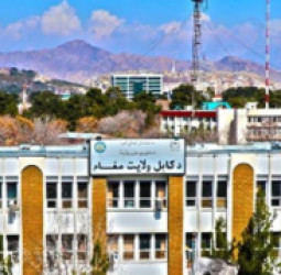 کابل :  د امنیت او تصفیوي چارو د پیاوړتیا لپاره پر ګډې همکارۍ ټینګار