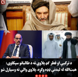 د ترکیې او قطر ګډ پلاوي ته د طالبانو سپکاوی؛ هبت‌الله له لیدنې ډډه وکړه، پلاوی والي ته وسپارل شو